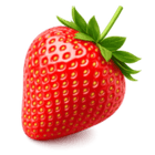 Morango