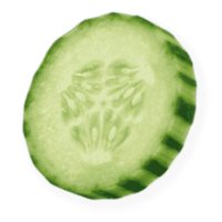 Uma rodela de pepino.
